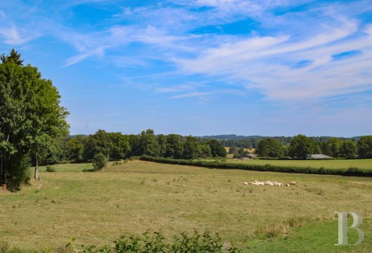 A carefully renovated 19th-century family home in the Plateau de Millevaches nature reserve in Flayat  - photo  n°3